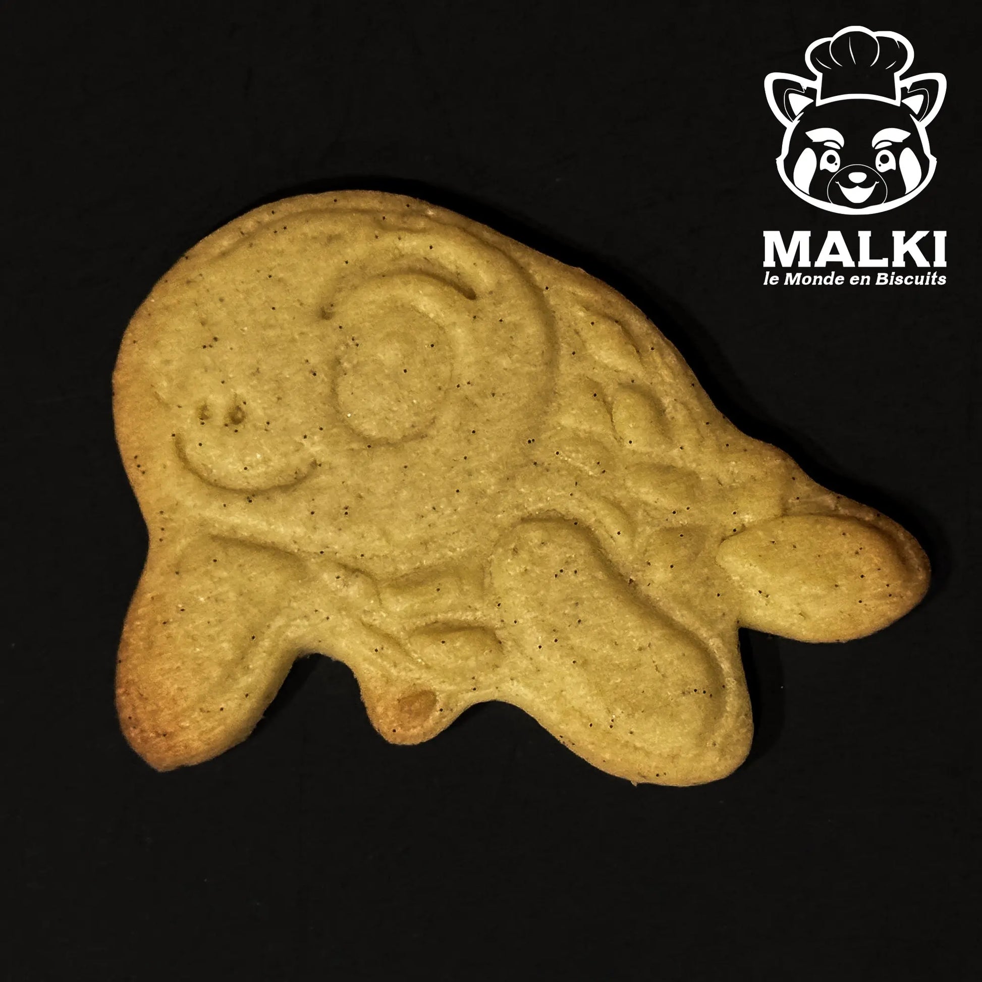 Biscuit tortue